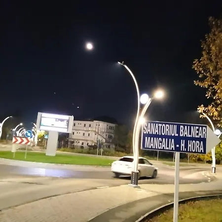 Studioul Vacanțelor Din 2
