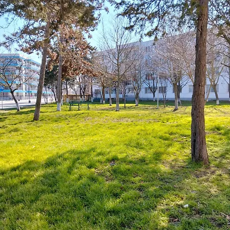 Studioul Vacantelor Din 2 Apartamento