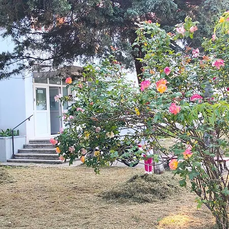 Studioul Vacantelor Din 2 Saturn