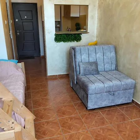 Studioul Vacantelor Din 2 דירה